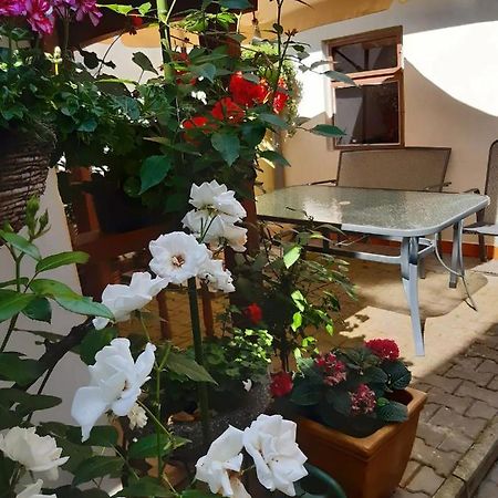 U Pani Malirky Apartment Valtice Ngoại thất bức ảnh